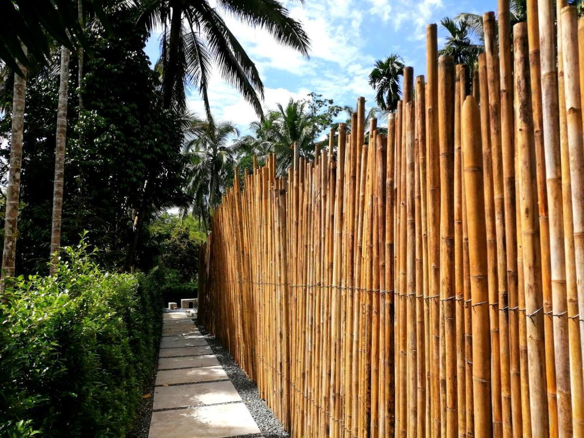 Khao Sok National ParkAnita Dream Houseアパートメント エクステリア 写真
